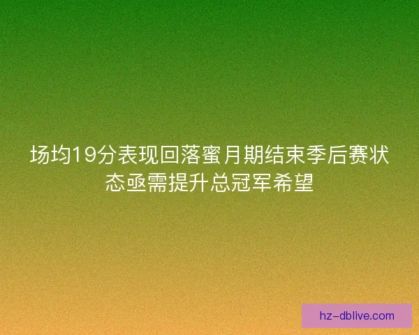 场均19分表现回落蜜月期结束季后赛状态亟需提升总冠军希望